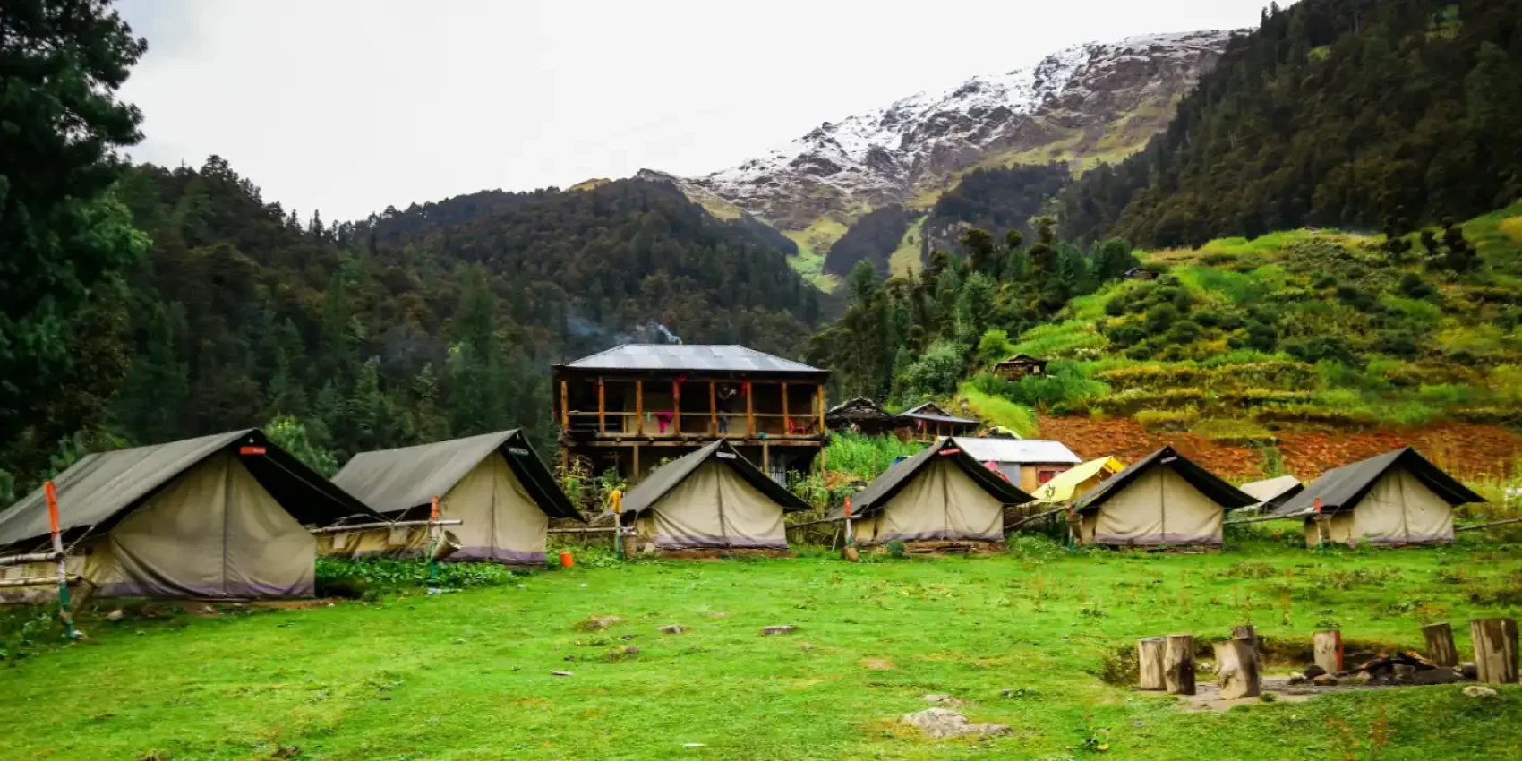 Arrival and Transfer to Munnar Hotel