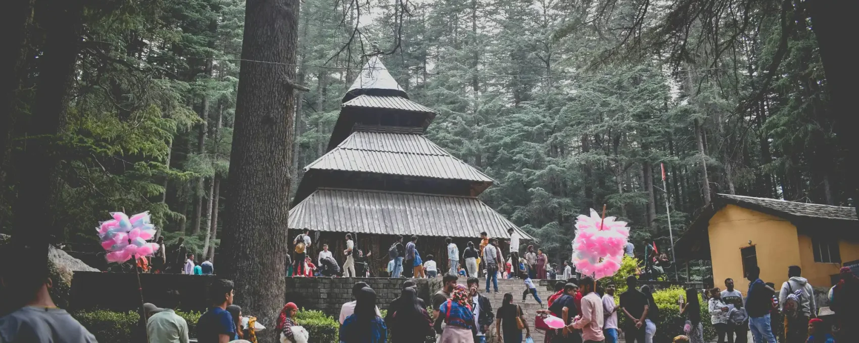 Manali Local Sightseeing