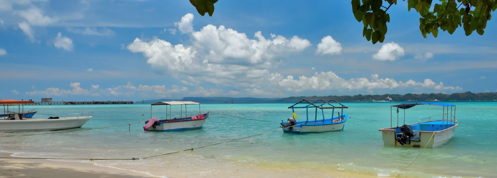 Havelock Island (Elephant Beach)
