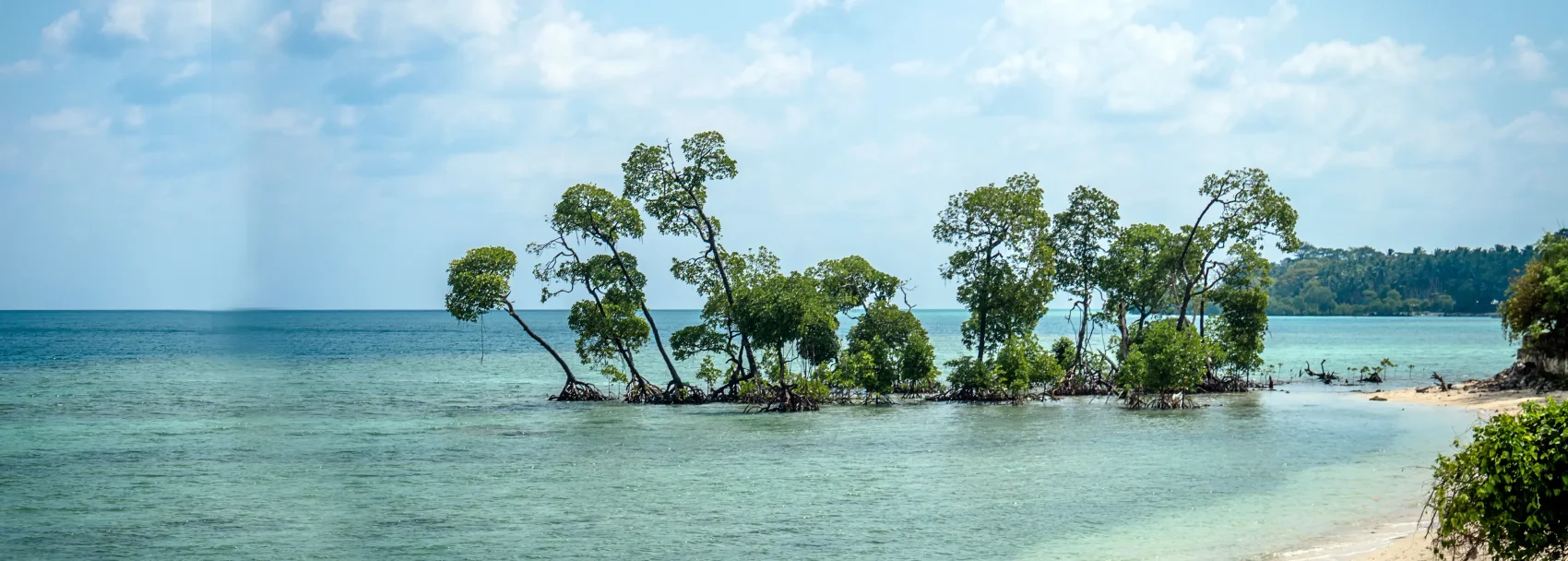 Havelock - Kalapather Beach