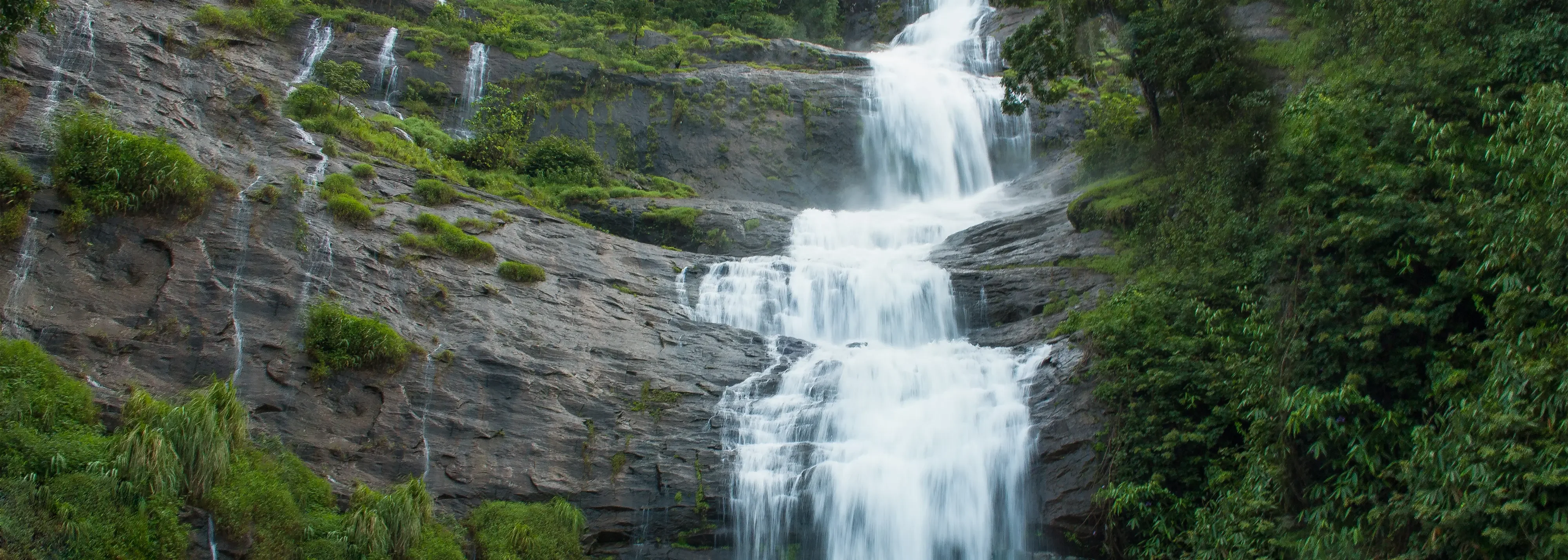 Arrival and Transfer to Munnar Hotel
