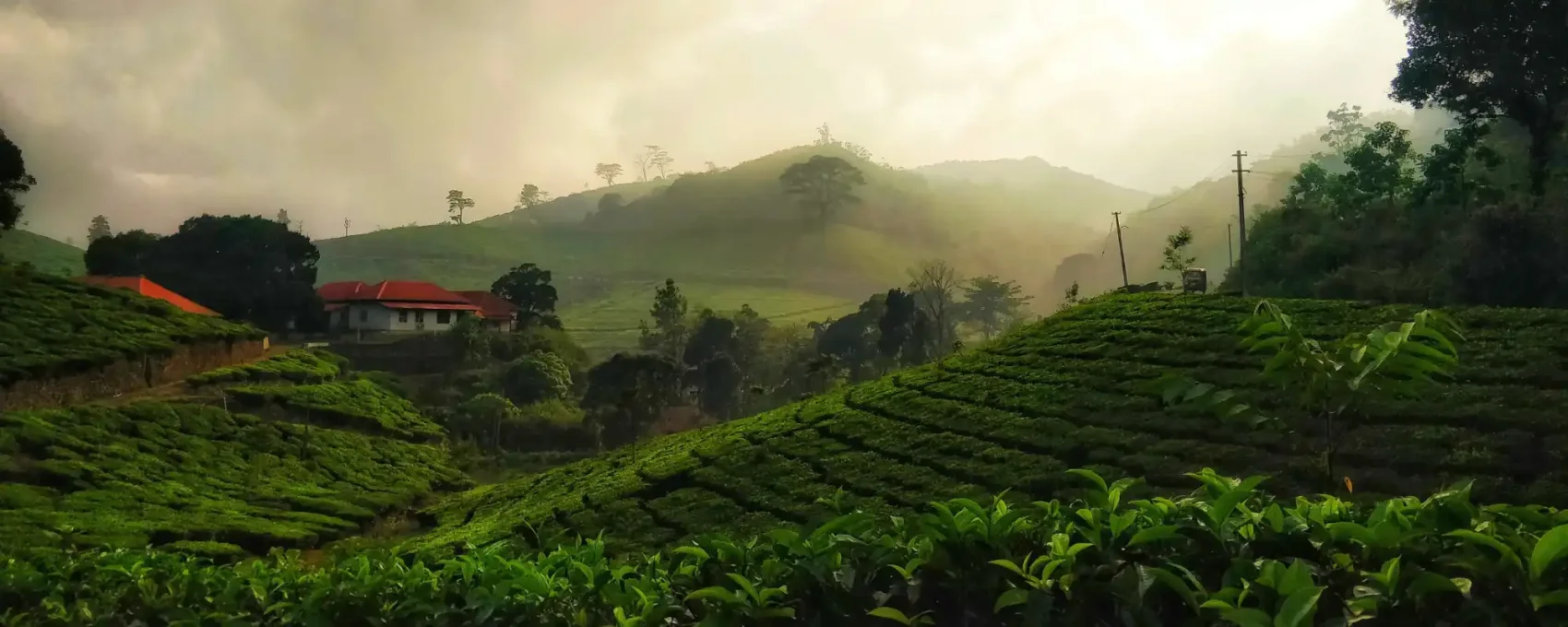 Munnar Sightseeing