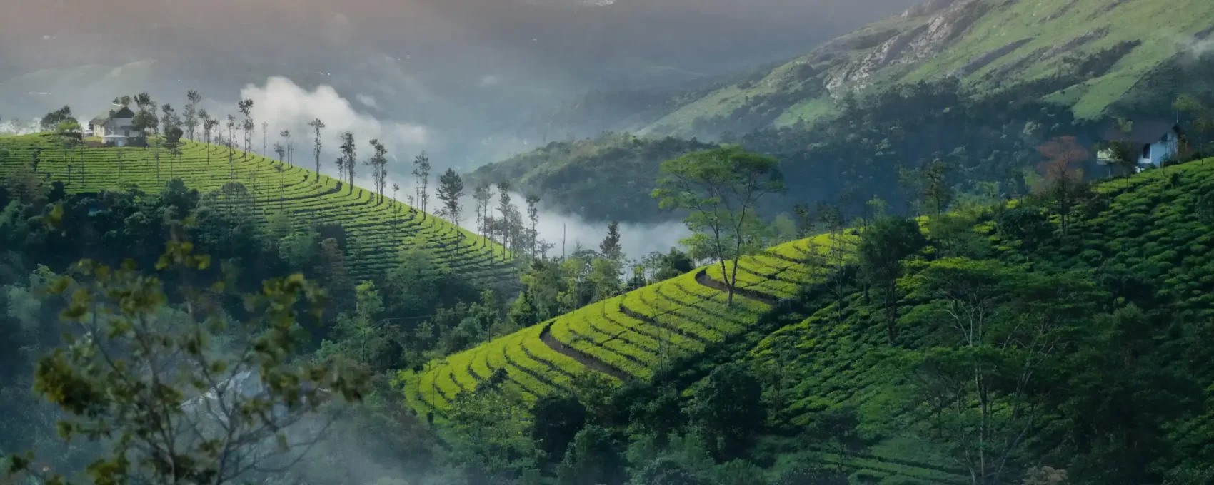 Munnar Sightseeing