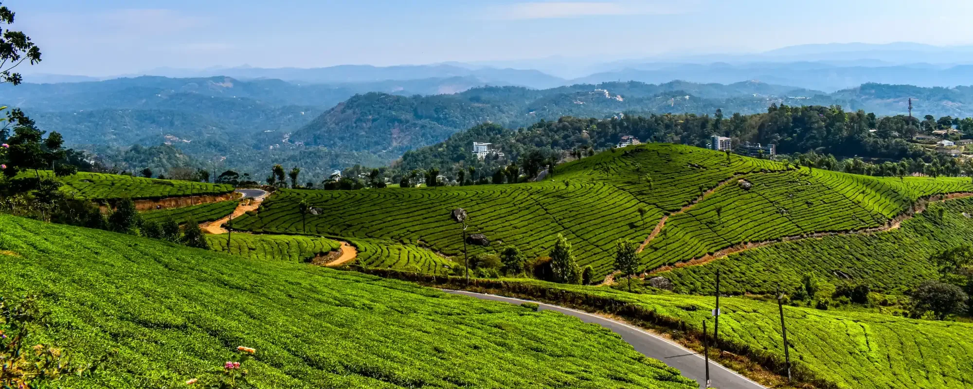 Munnar Sightseeing