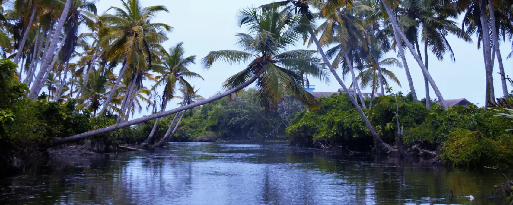 Munnar - Alleppey (4-5 Hrs drive)