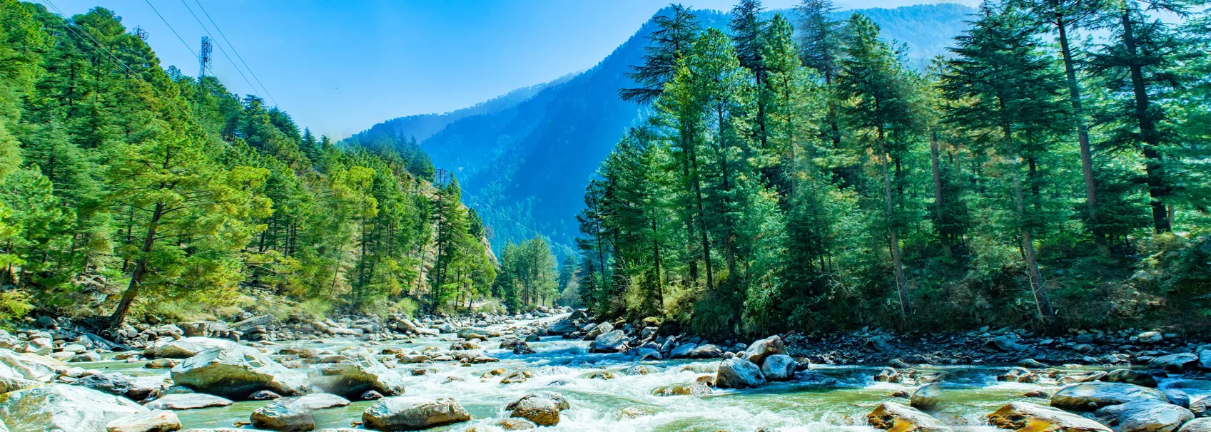Manali Local Sightseeing