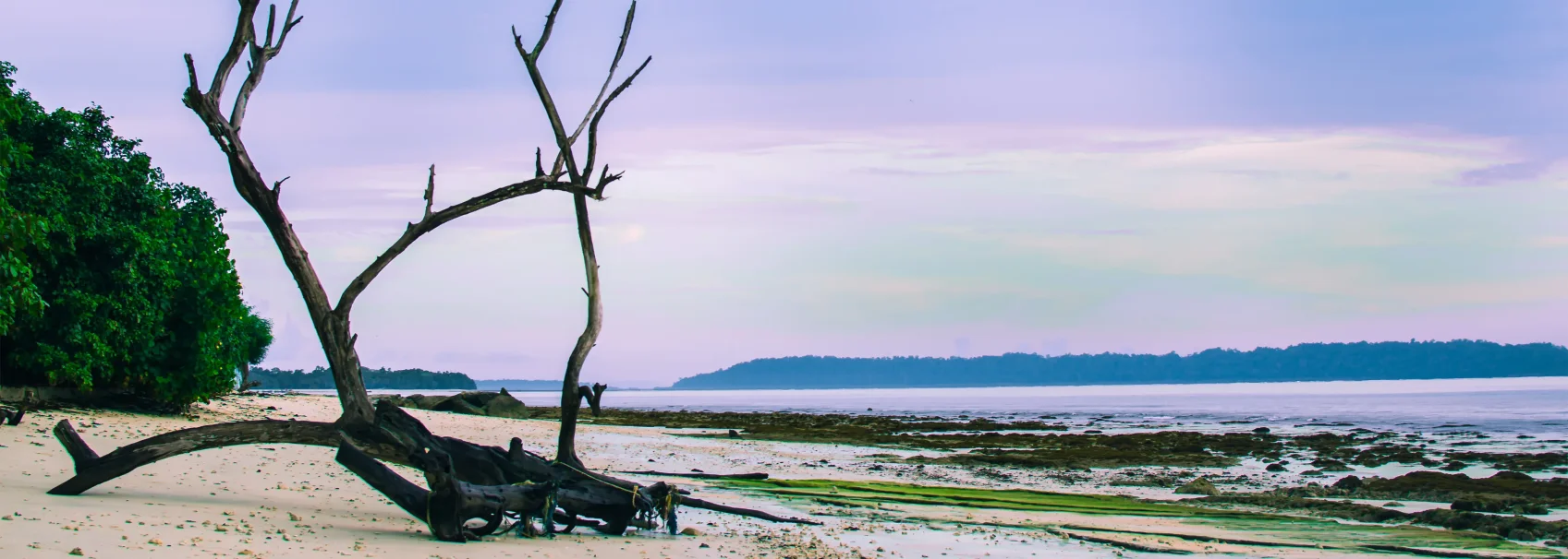 Transfer to Neil by Private Ferry + (Bharatpur & Laxmanpur Beach + Natural Bridge)