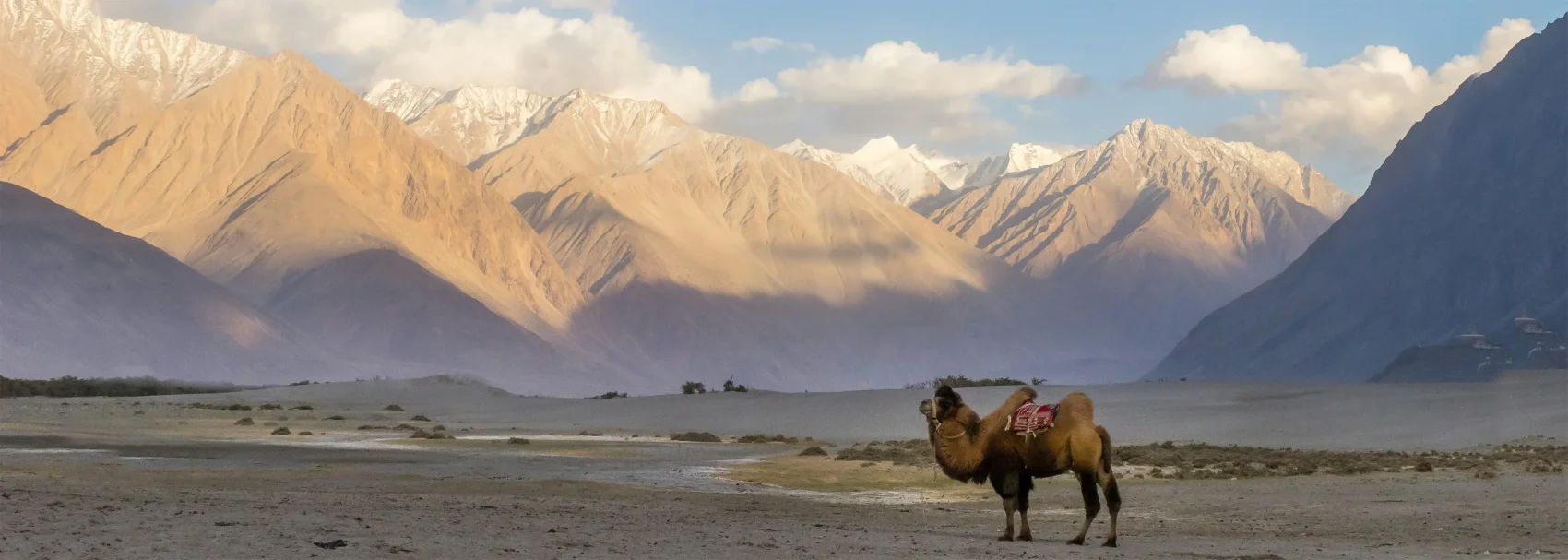 Nubra Valley (120 KMS/4–5 HRS)