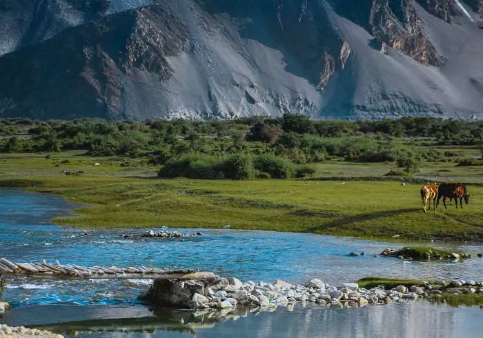 5 Nights Leh & Nubra Tour with Pangong Excursion