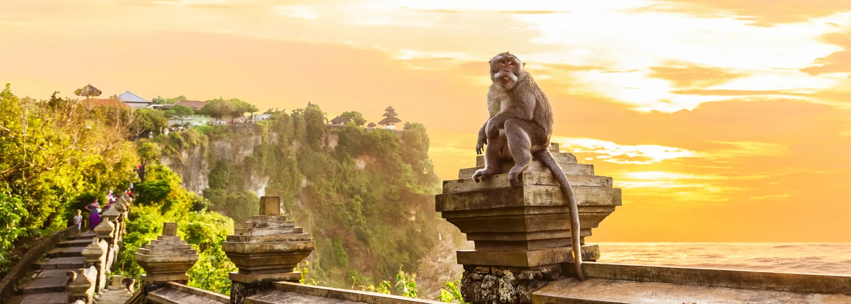 Day 3 - Explore Ubud – Culture & Relaxation