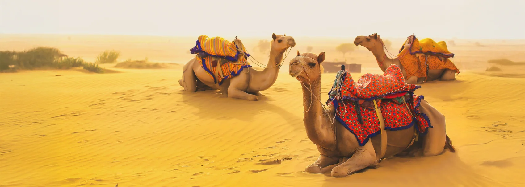 Jaisalmer Sightseeing