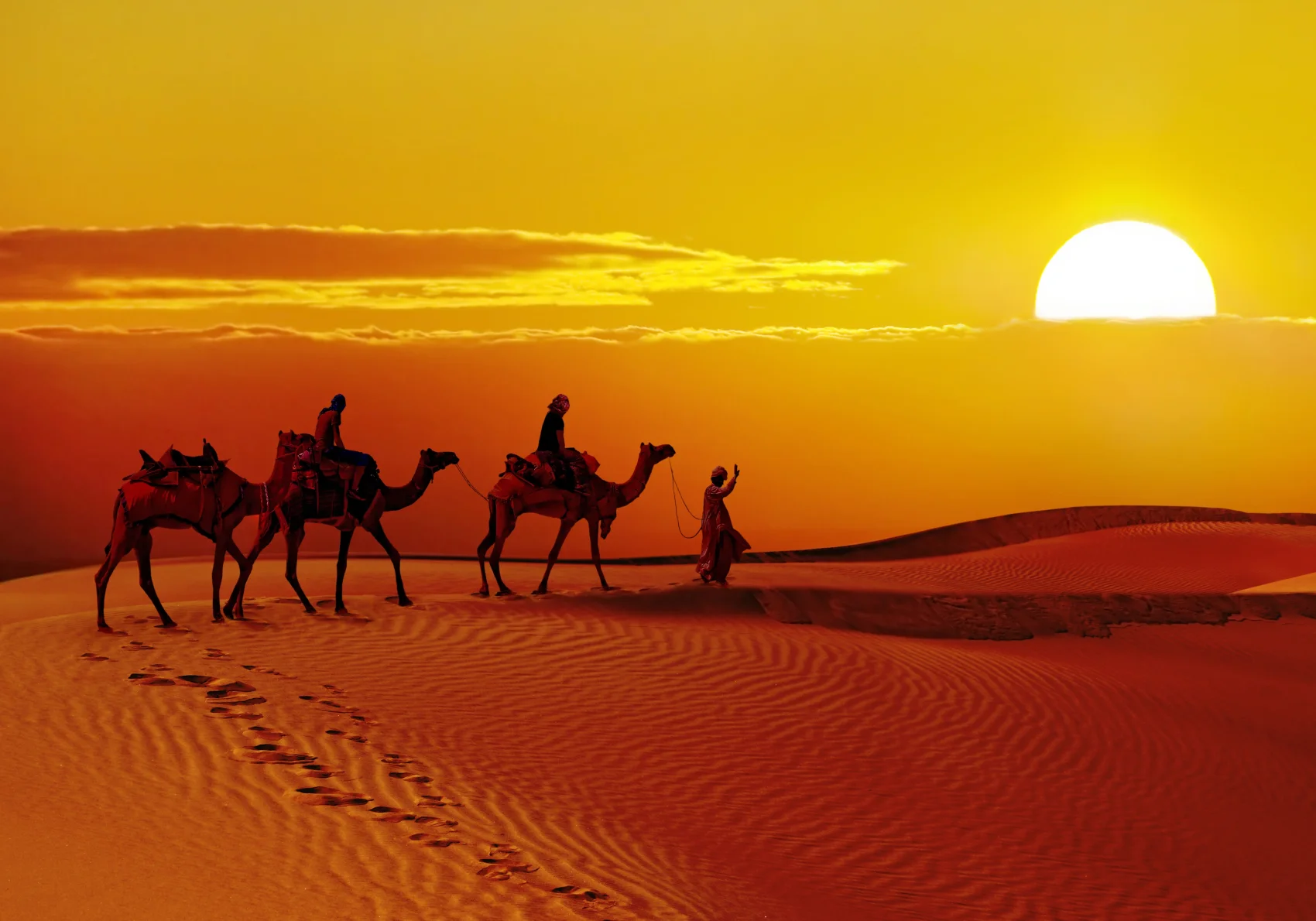 8N Enchanting Rajasthan