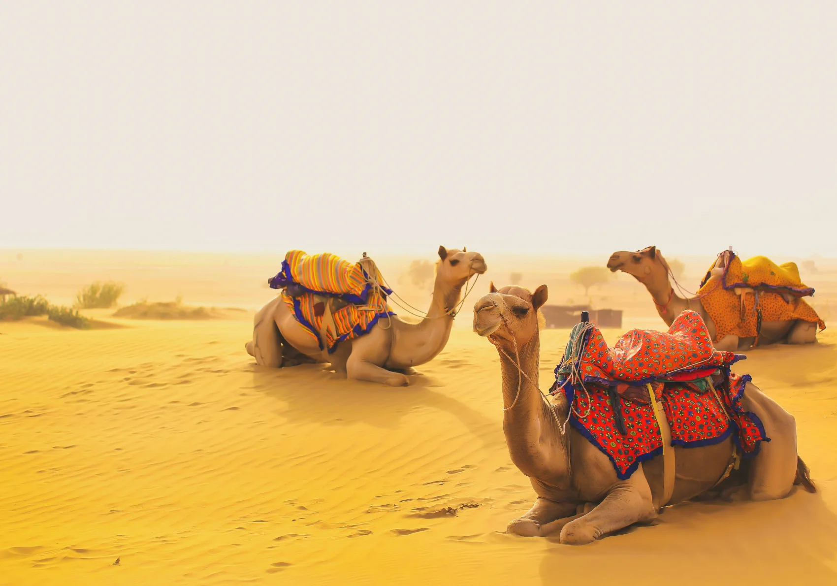 Rajasthan