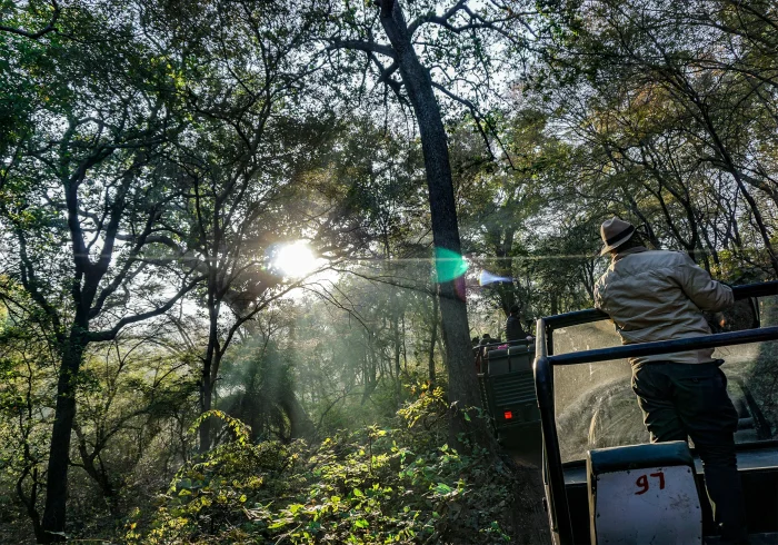 2 Nights Ranthambore Wildlife Safari