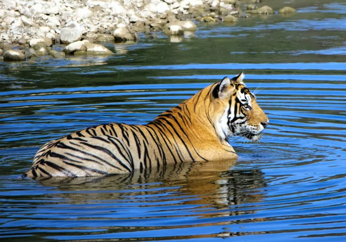 Rajasthan