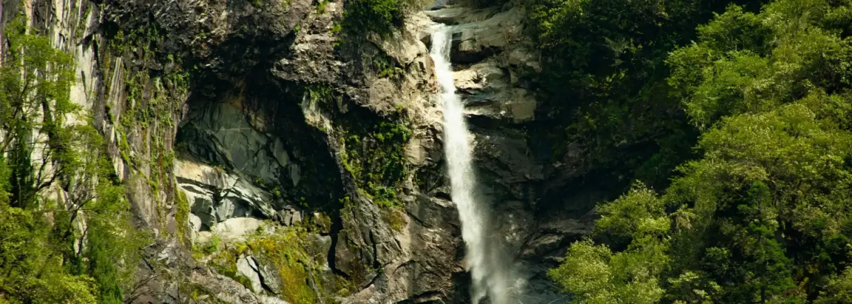 Dharamshala Sightseeing (Local McLeod Ganj)