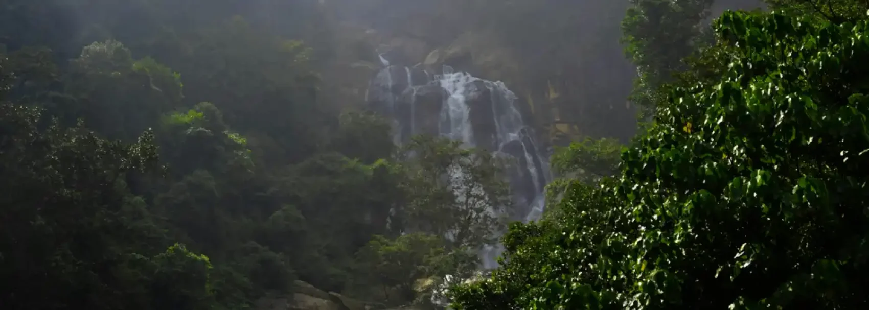 Dalhousie Local Sightseeing