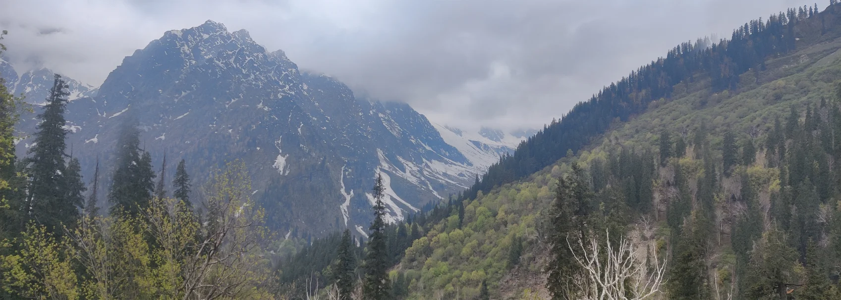 Manali Local Sightseeing