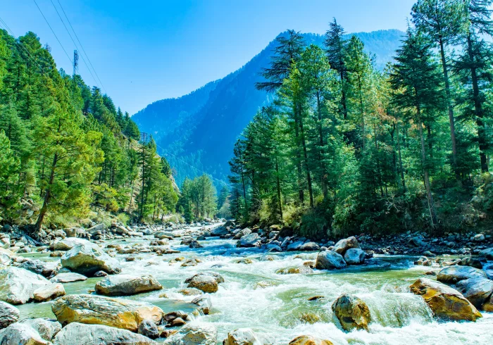 7 Nights Shimla kasol & Manali