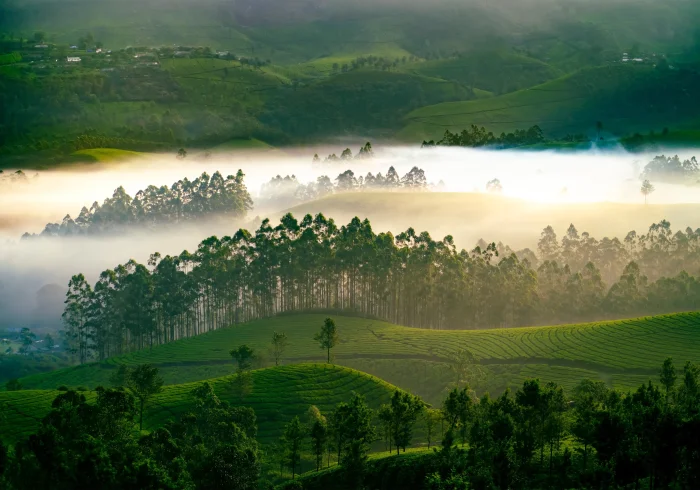 3N Amazing Kerala