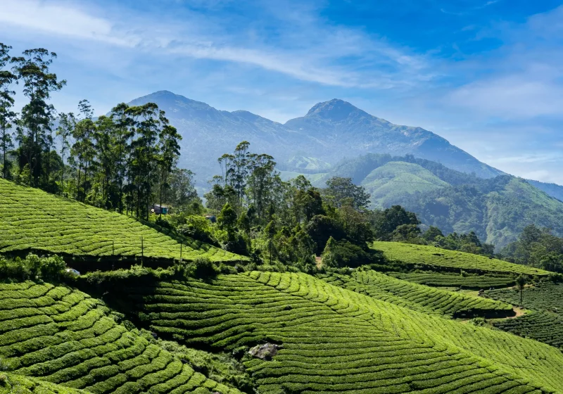 3N Amazing Kerala