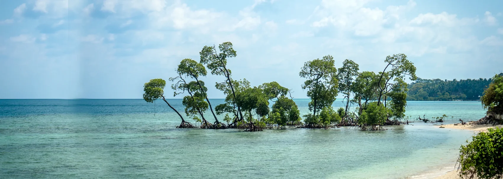 Transfer to Neil by Private Ferry + (Bharatpur & Laxmanpur Beach + Natural Bridge)
