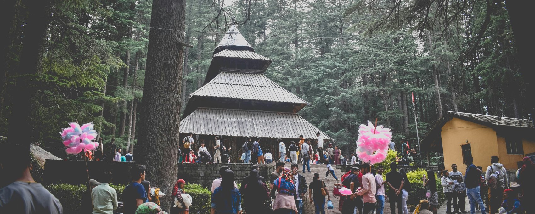 Manali Local Sightseeing