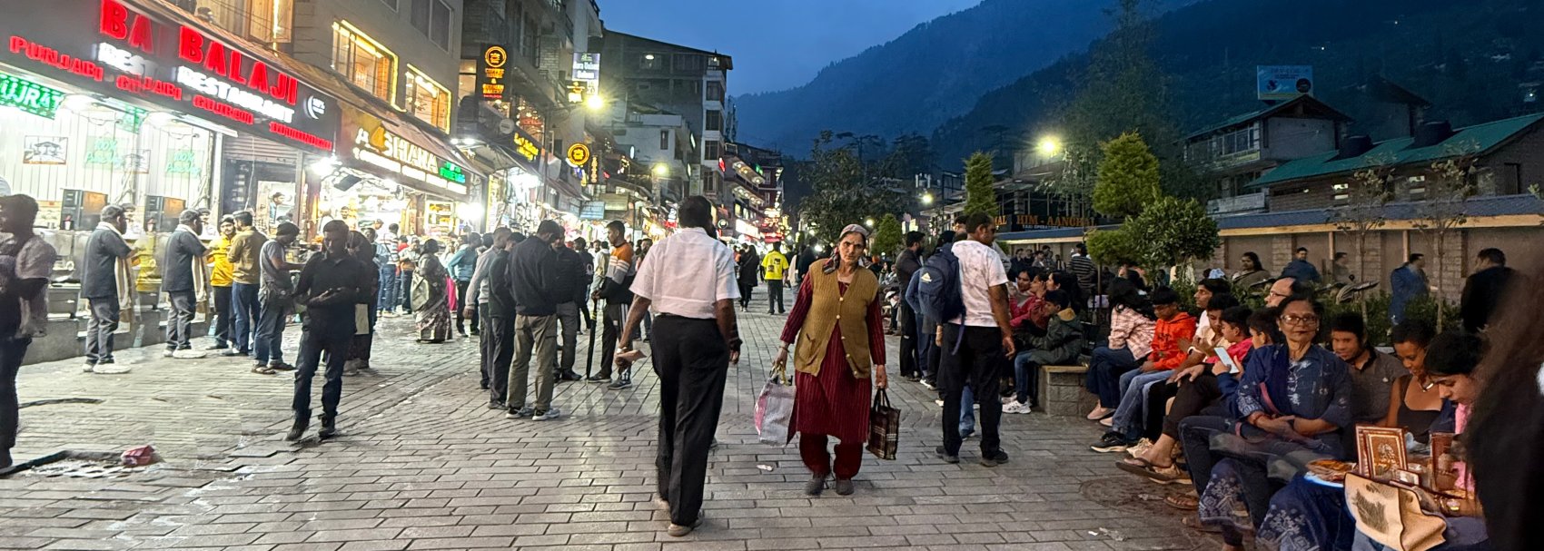 Arrival in Manali – Welcome to the Hills