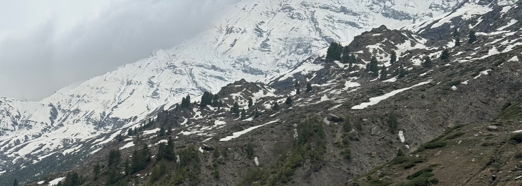 Atal Tunnel & Sissu Excursion