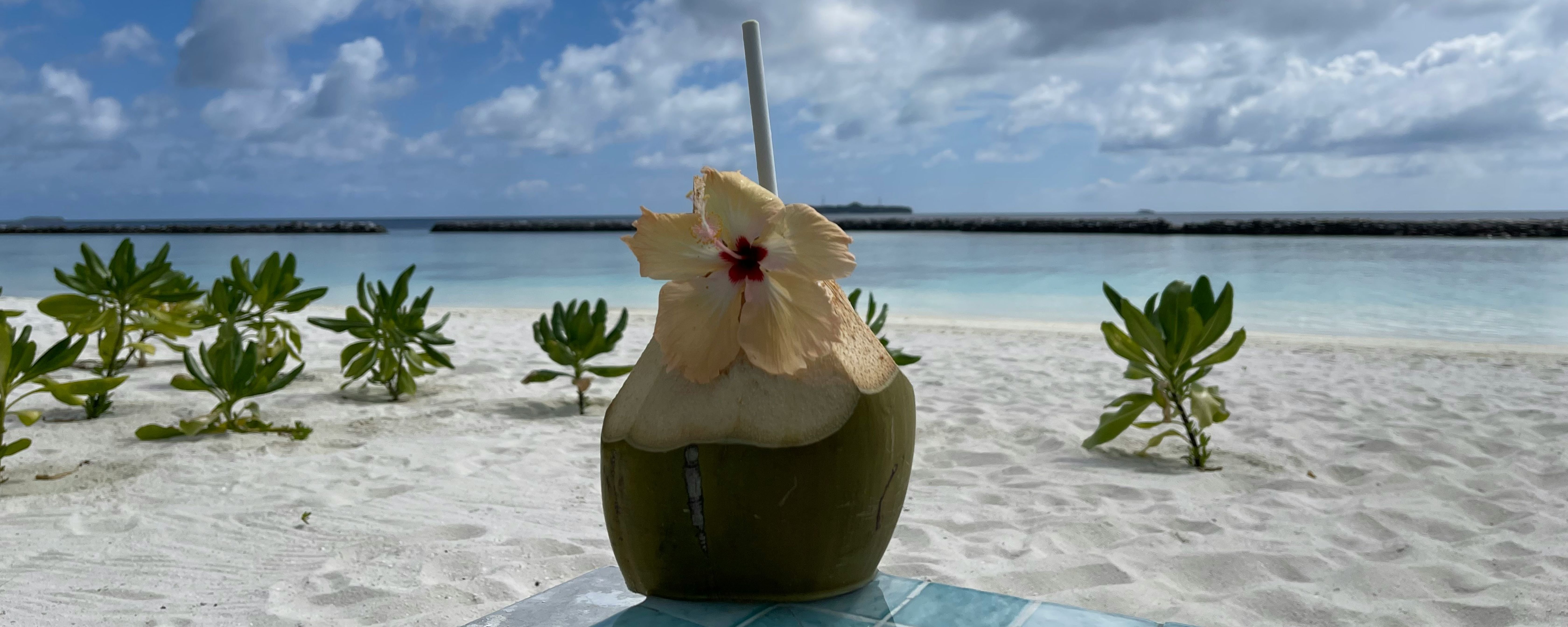 Refreshing Kurumba drink with flower on a Maldives tour beach.