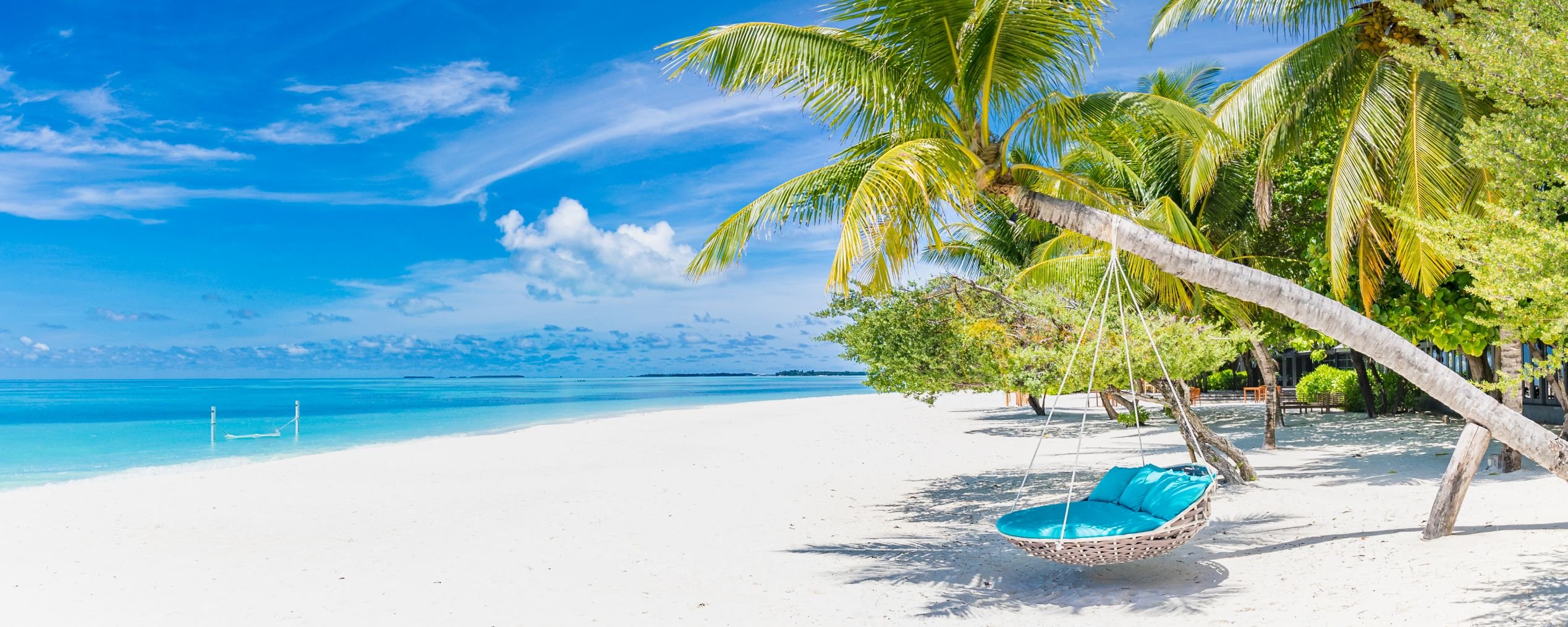 White sand beach in Maldives with palm trees and a swing chair. Perfect for a relaxing Maldives tour.
