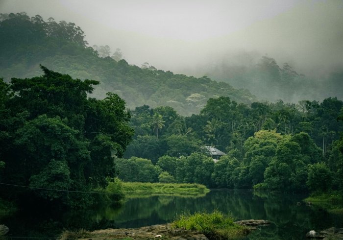7 Nights Complete Kerala Experience