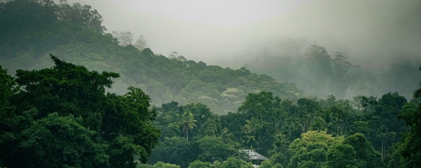 Munnar - Thekkady (04 Hrs Drive)