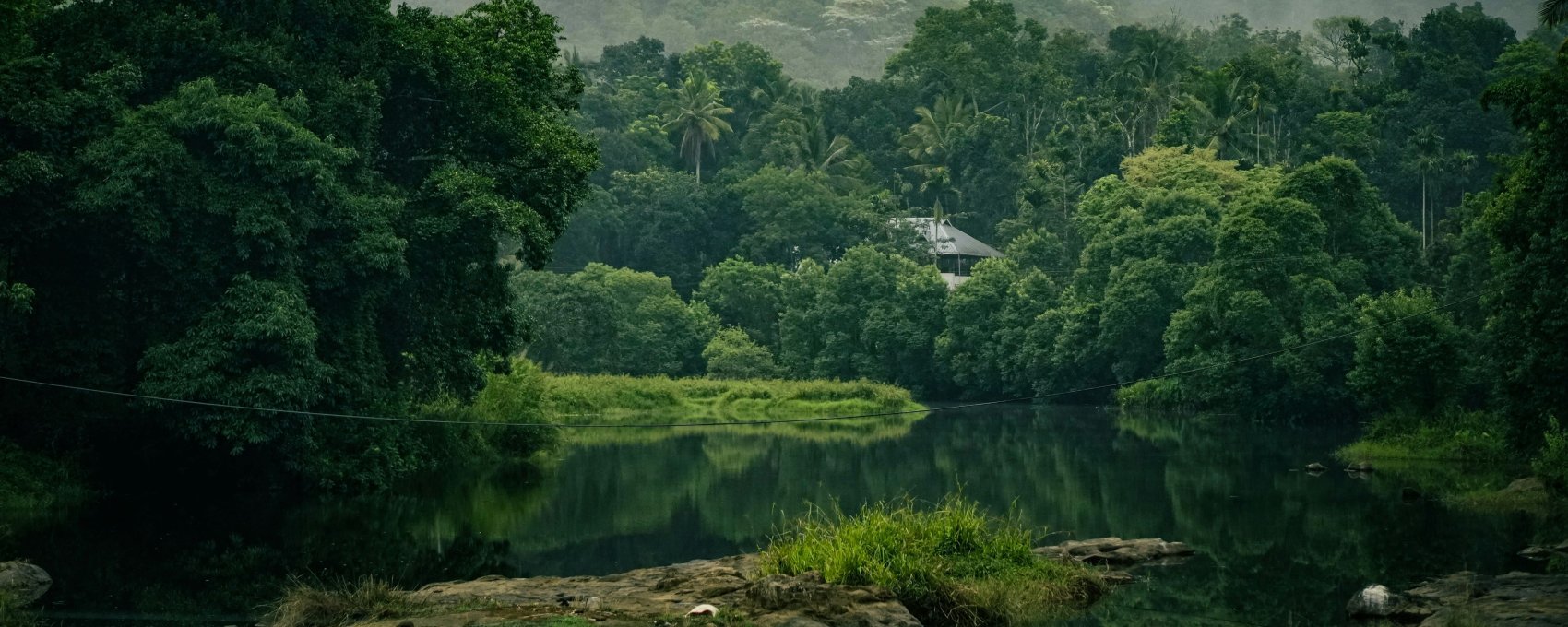 Munnar - Thekkady (04 Hrs Drive)