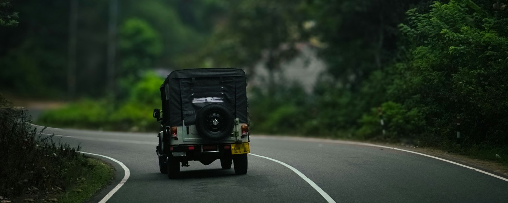 Munnar - Thekkady (04 Hrs Drive)