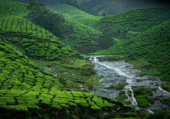 Kerala