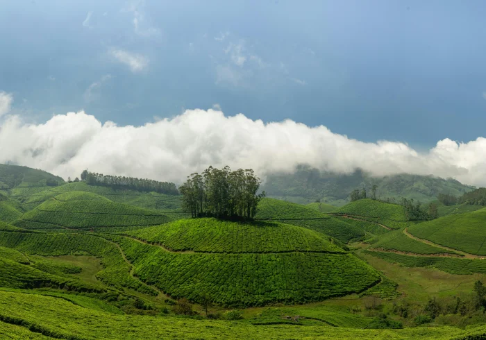 7 Nights Complete Kerala Experience