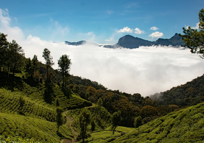 Kerala