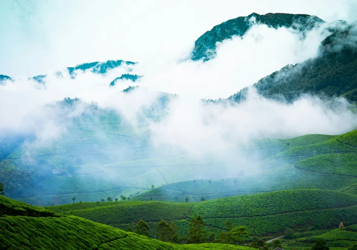 Kerala