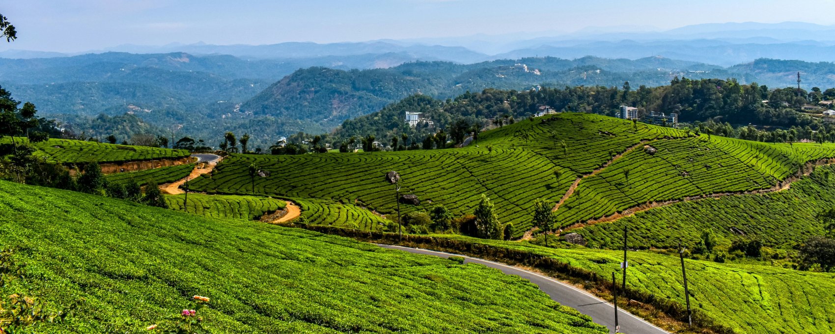 Munnar Sightseeing