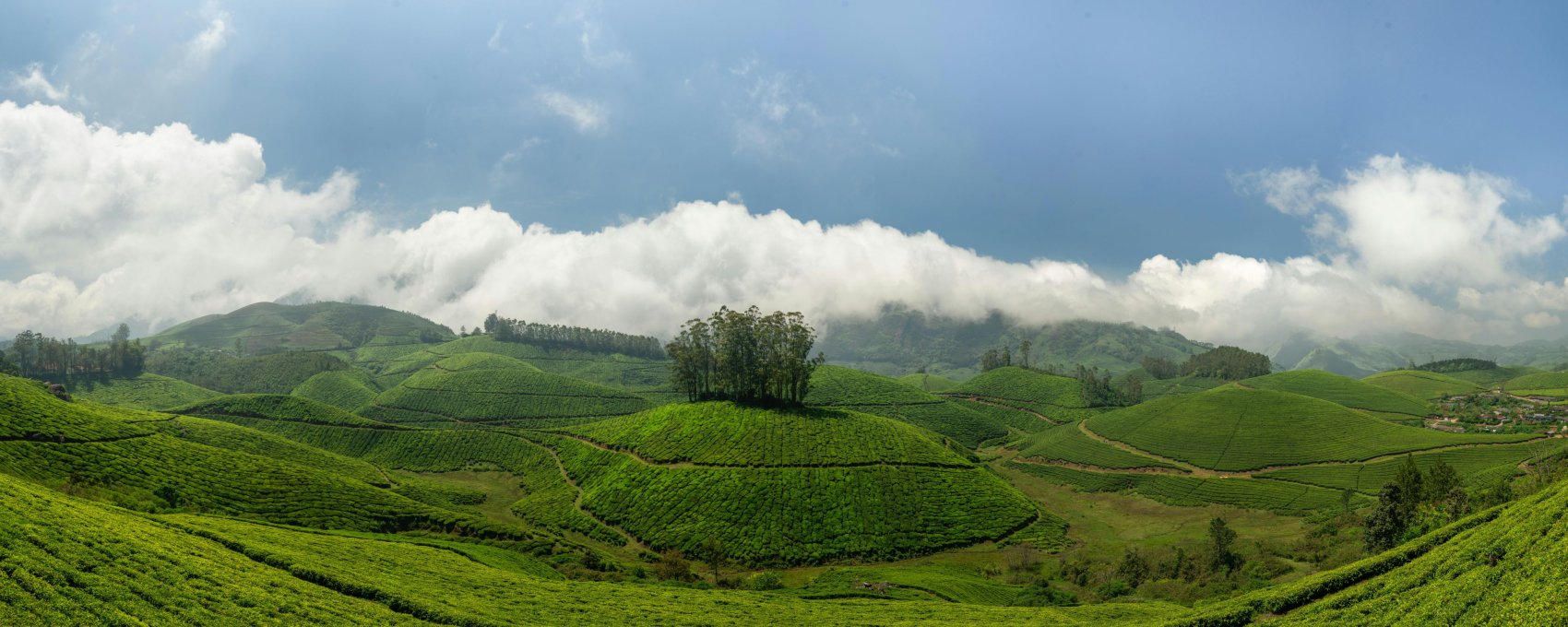 Full Day Sight Seeing Of Munnar