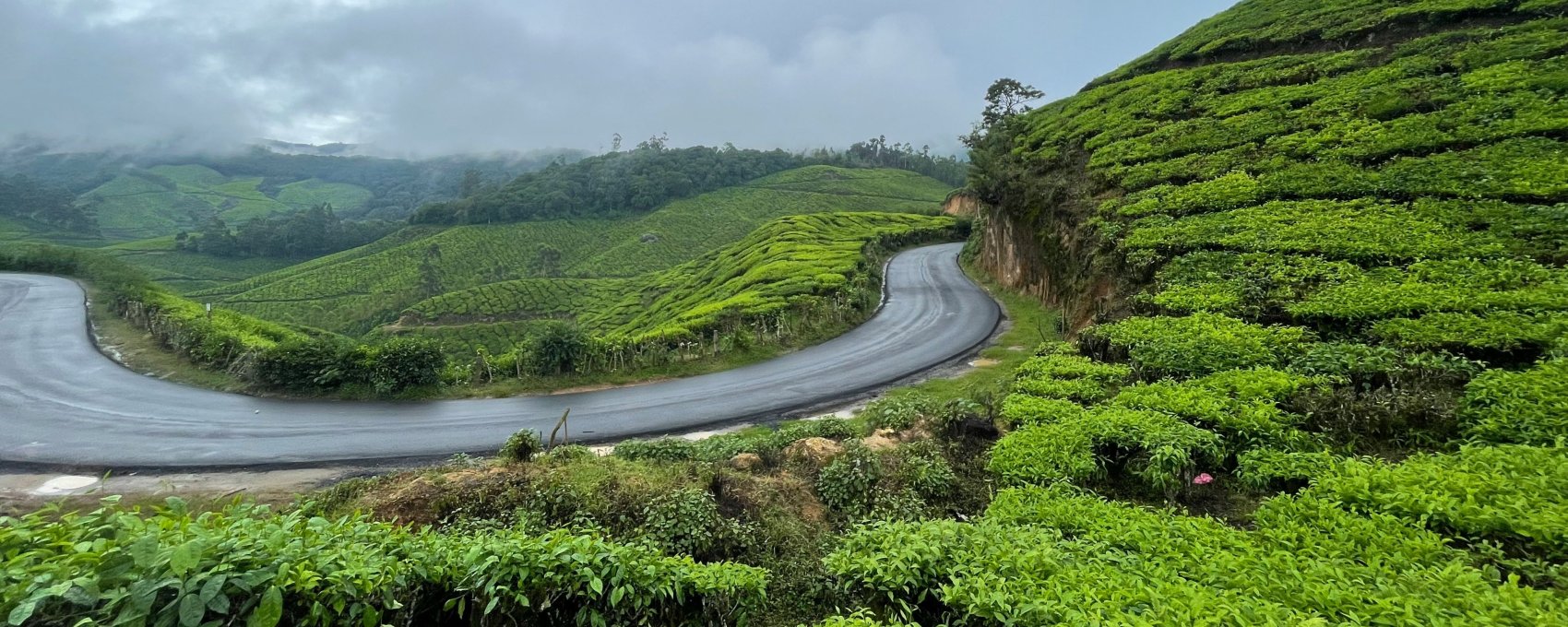 Munnar Sightseeing