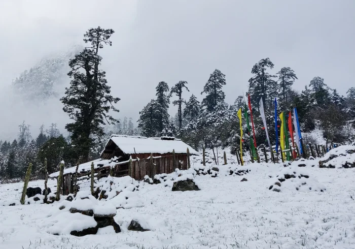 8 Nights Gangtok Essence Discovery