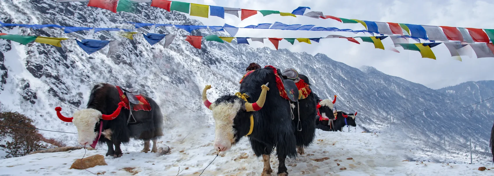 Gangtok to Tsomgo Lake & Baba Mandir