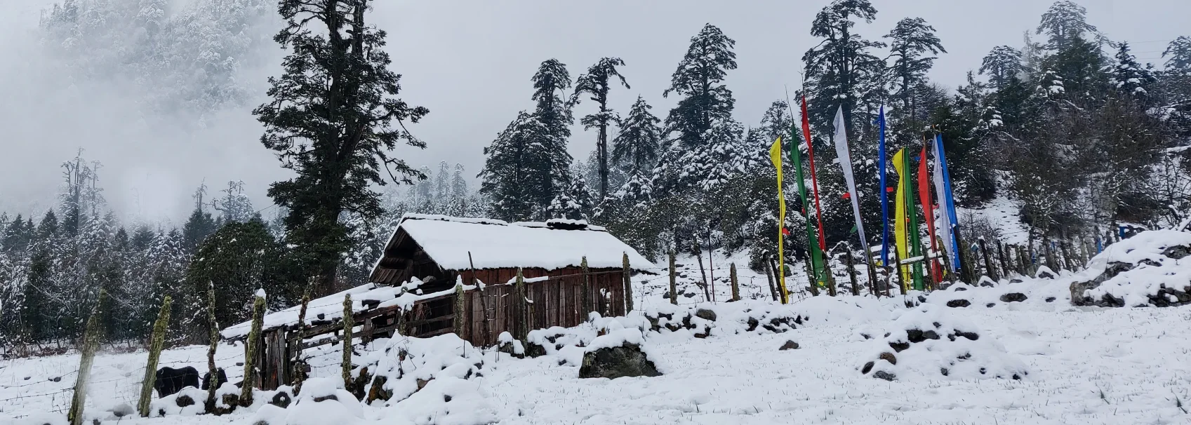 Gangtok Sightseeing / Tsomgo Lake & Baba Mandir