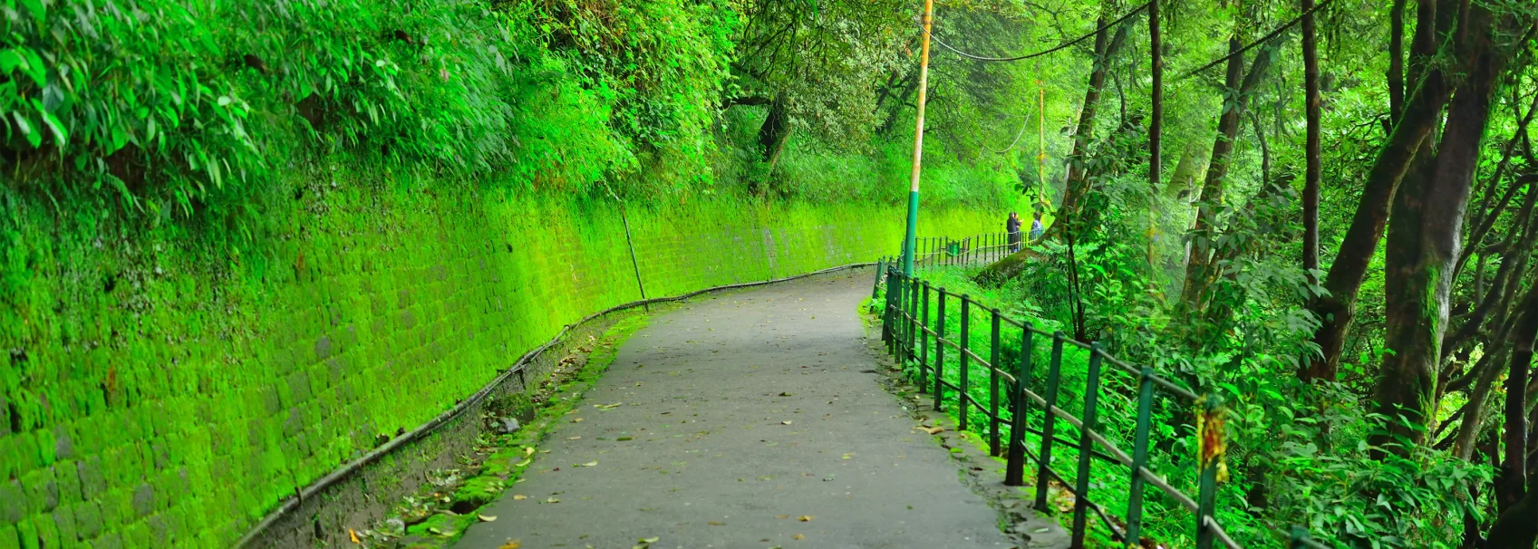 Darjeeling Sightseeing - Tiger Hills (4 Am To 7Am)