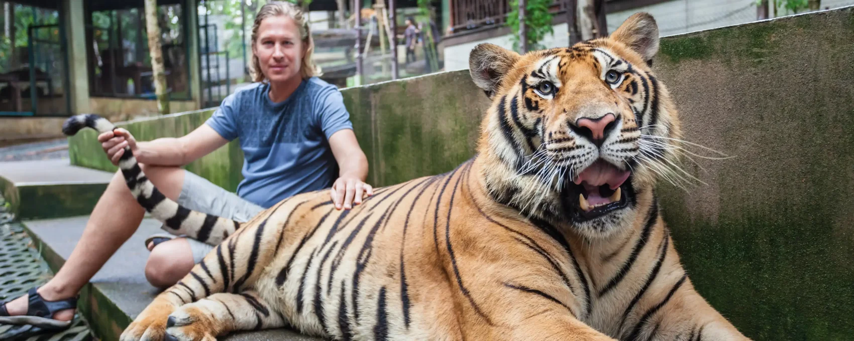 Phuket City Tour + Tiger Kingdom