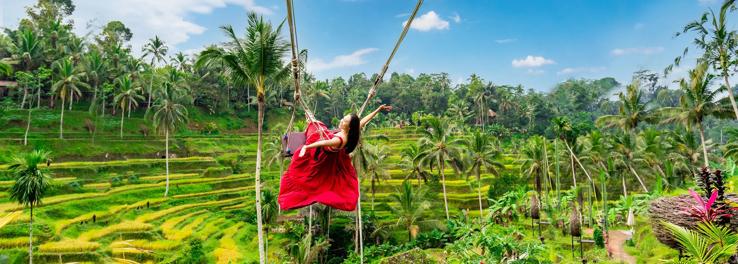 Experience the thrill of a Bali jungle swing overlooking the Tegallalang Rice Terraces. A must-do on your Bali tour.