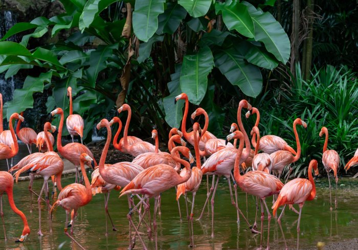 4 Nights Singapore Holiday Package