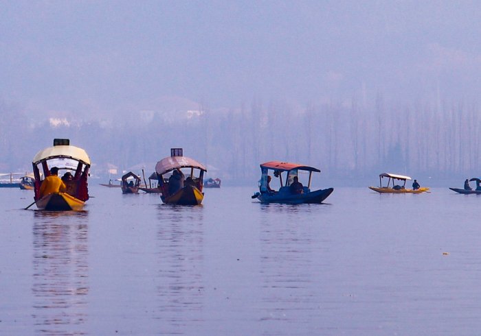Shikara boats on Dal Lake, Srinagar. Experience serene Kashmir tour. Beautiful floating paradise awaits.